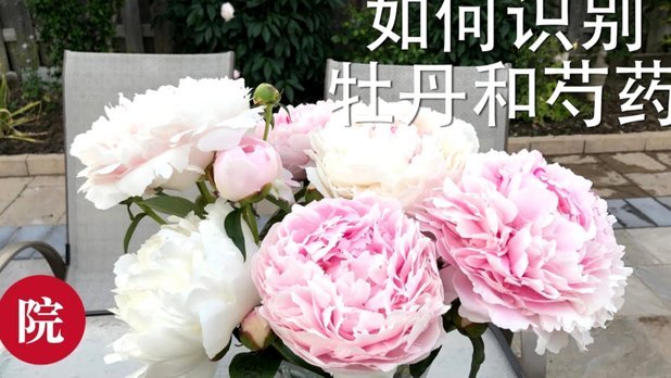 海鸥花呗真的靠谱吗？