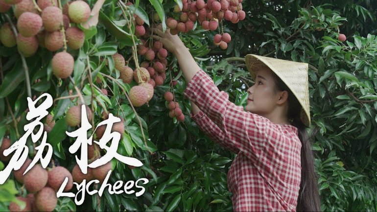 偏荔卡包额度被冻了怎么查？