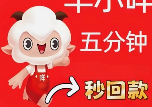 羊小咩提现问题指南