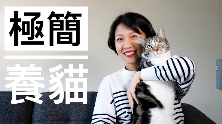 天猫额度安全用法指南
