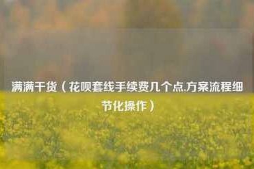 商家花呗套线手续费多少