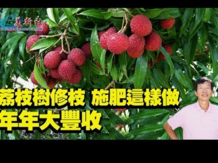 便荔卡套现攻略