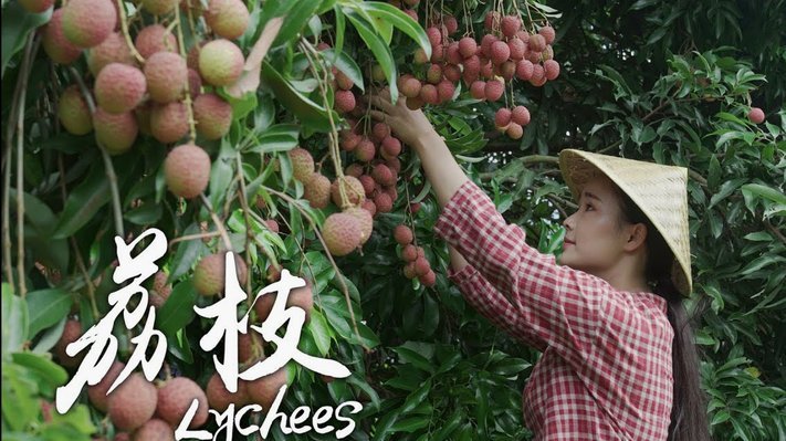 便荔卡怎么套出来