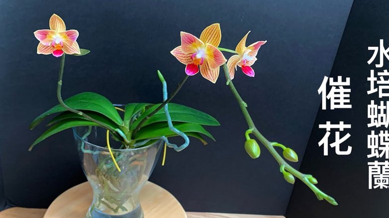 秒瞬达花呗教程