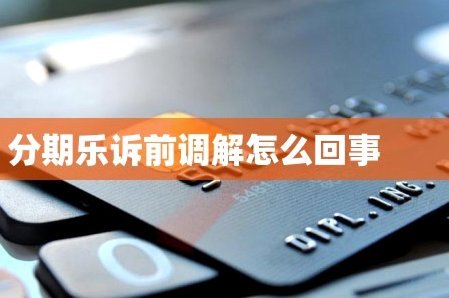 分期乐：消费新选择如何运作？
