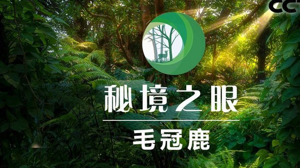 鹿优选靠谱回收商家