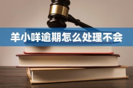 羊小咩综合服务费退款指南：如何成功追回费用？