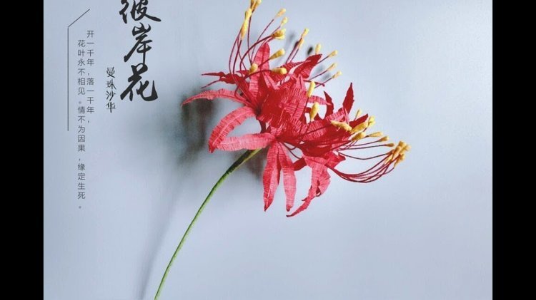 拿去花套现平台