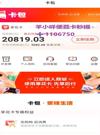 羊小咩300额度可否套现