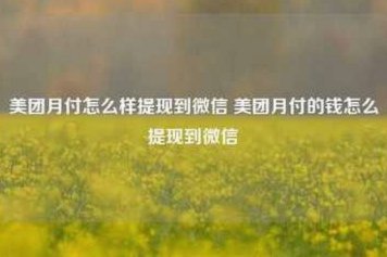 美团月付取现：原理与打造之道