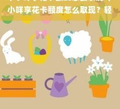 羊小咩便荔卡：额度如何提现？