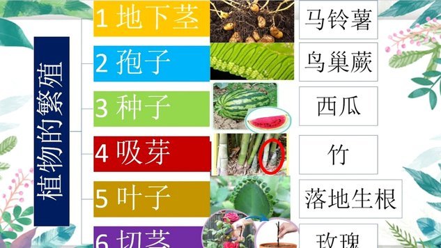 得物月付套现高效技巧
