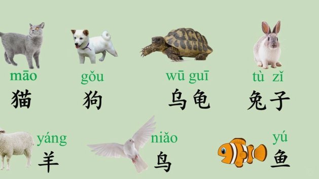得物提现攻略：安全便捷的转账秘籍
