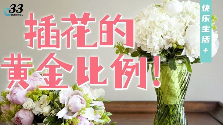 2023白条合规使用指南