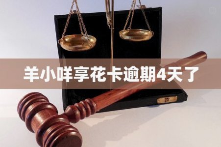 羊小咩借钱，怎么找入口？