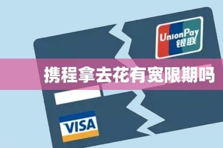 携程拿去花支付全攻略
