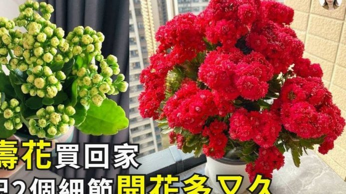 提前还贷到底划不划算？专业财务分析避坑指南
