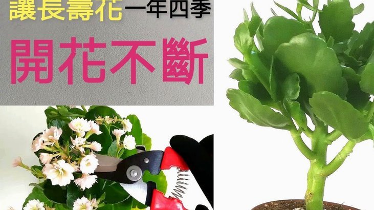 拿去花怎么提前结清