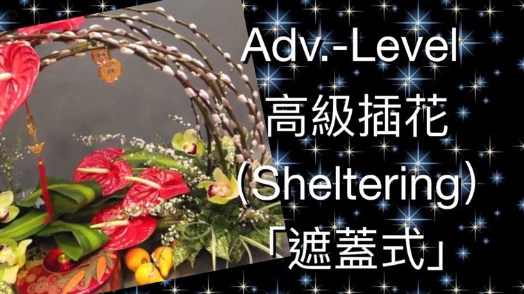 携程拿去花取现攻略：积分抵扣与风险控制技巧
