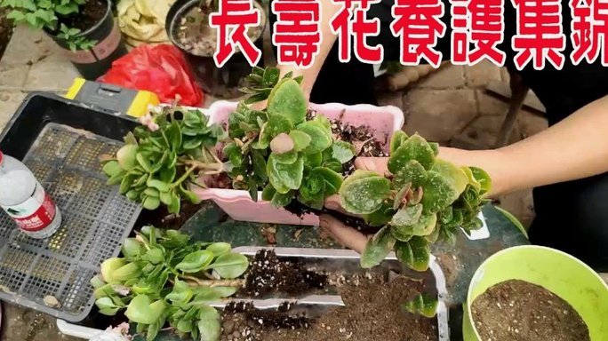 携程拿去花取现技巧