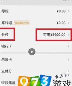 微信零钱包和分付功能新手指南：怎么用不迷茫？