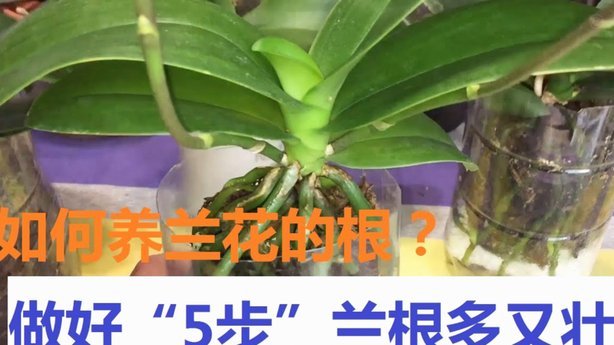 携程拿去花在哪里