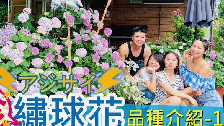 携程拿去花在哪里