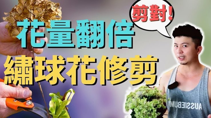 花呗套现手续费：真实费用解析