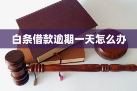 白条怎么借款