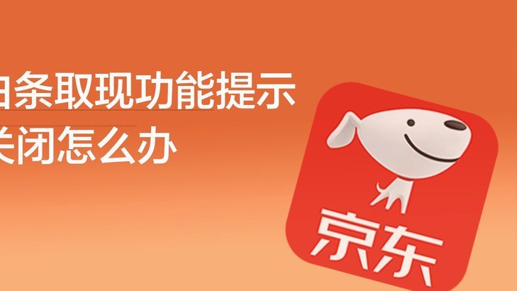 白条怎么借款