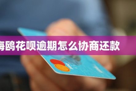 海鸥怎么还款