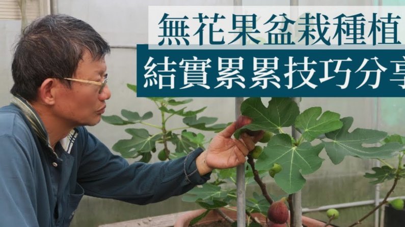 去哪拿去花怎么用