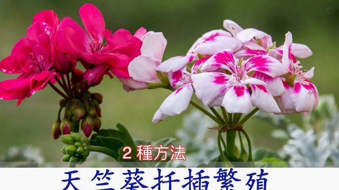 花呗套取现金最佳方法
