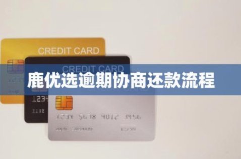 鹿优选物品回收流程详解