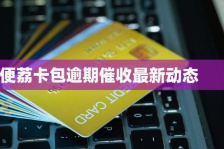 便荔卡包怎么提出来