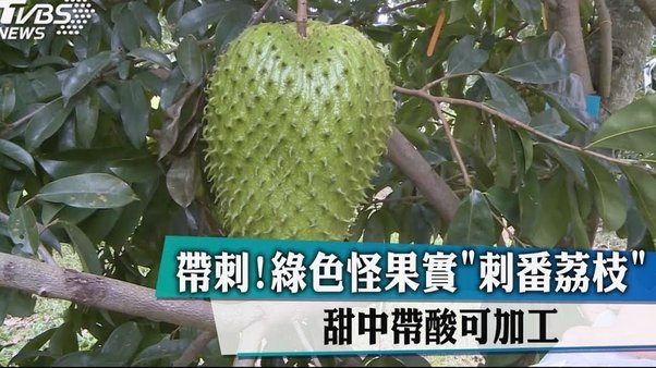 便荔卡套现平台靠谱吗？