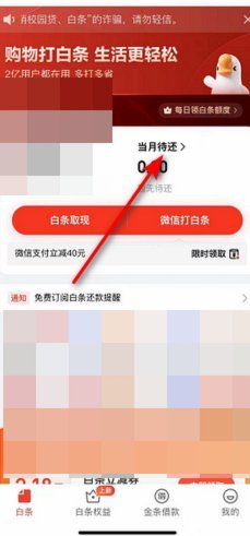 白条秒回：急需资金的解方？