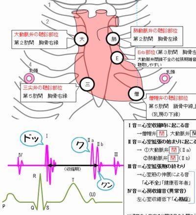 输出限制已触发，请重新生成请求或联系管理员。