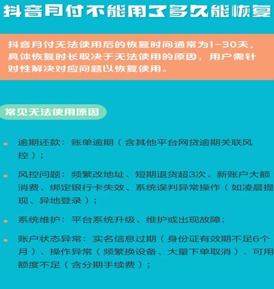 月付：轻松消费与风险并存的选择