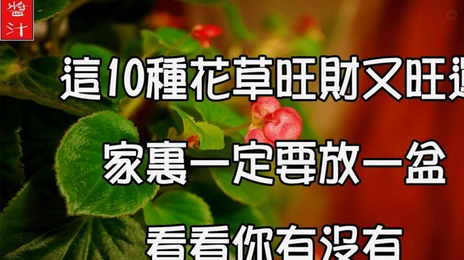 花呗套现平台：窥探消费金融的“错觉”