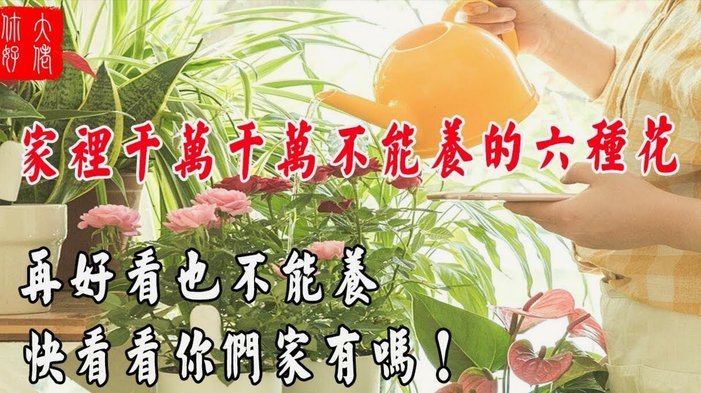 套花呗秒到的平台有哪些
