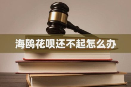 海鸥花呗还在运营吗？真相揭秘