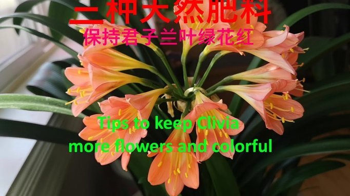 怎么套花呗用