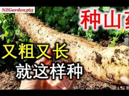 拿去花套现回收商家 取消了
