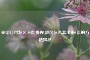 美团可用额度可以提现吗是真的吗