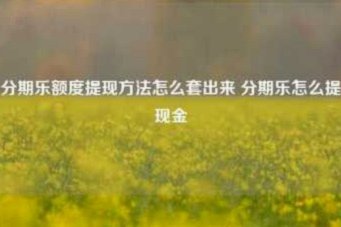 分期乐取现额度多久还