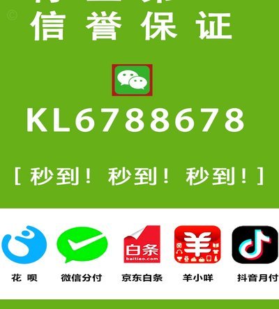 怎么能套花呗