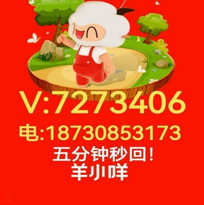 羊小咩购物额度怎么套出来视频